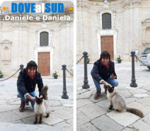 Centro storico e amico gatto